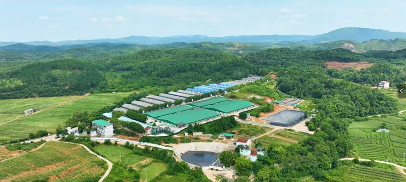 雙輪驅動 全鏈融合 邵東奮力打造國家級現代農業產業園