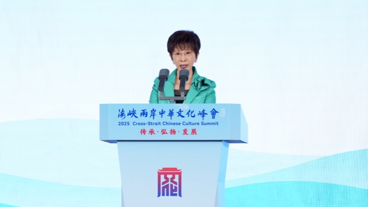 洪秀柱出席閱兵式：抗戰勝利是全民族共同記憶