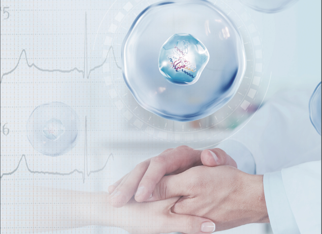 華領醫藥股價大漲48%引投資者青睞