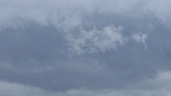 注意！深圳市颱風白色預警信號升級為藍色