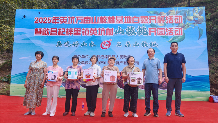 皖歙縣：金秋杆響杞梓里  核桃落地慶豐年