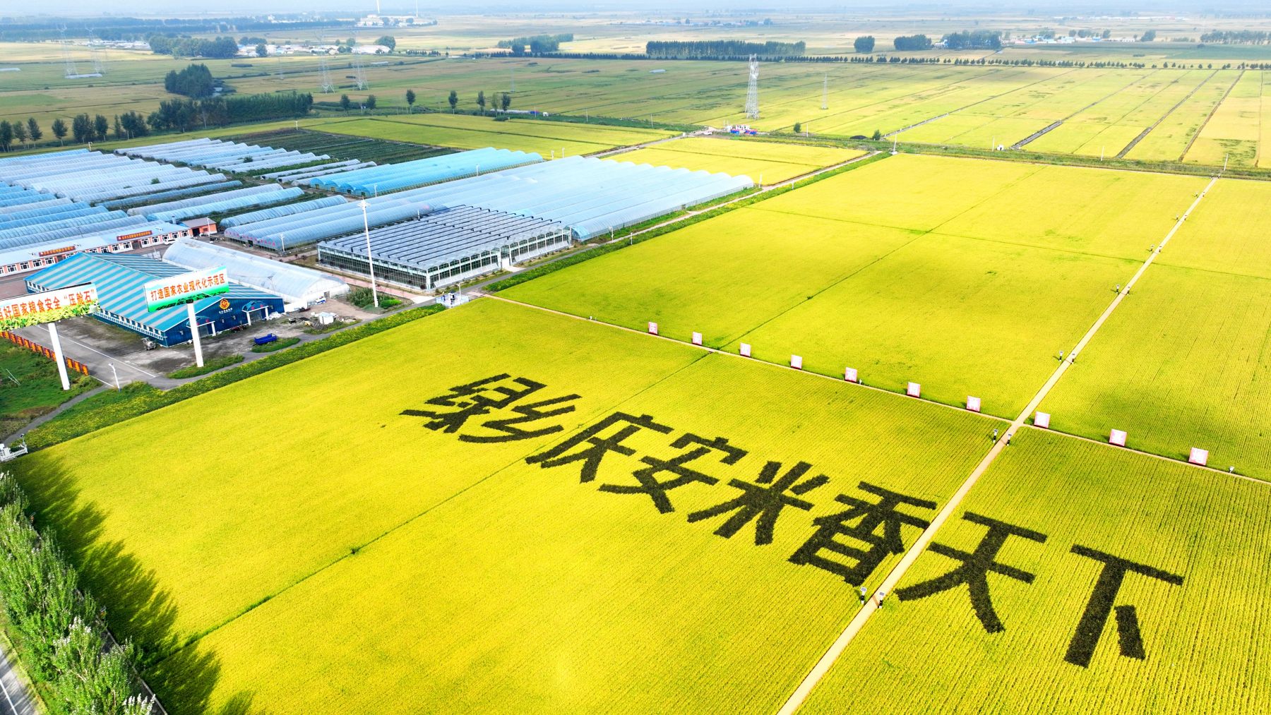 黑龍江慶安：金秋城田相融 繪綠色豐收畫卷