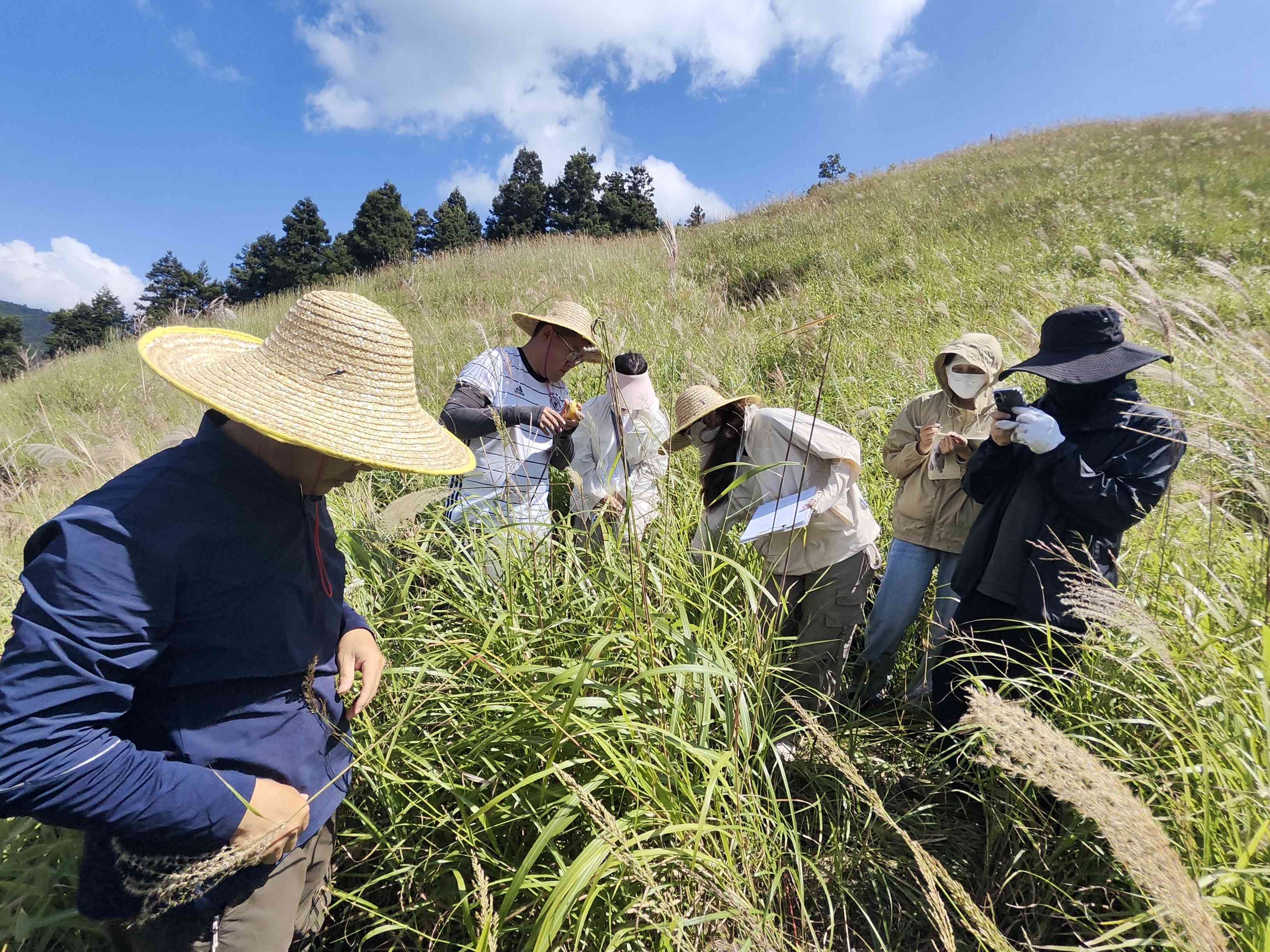 作風硬敢擔當，邊學邊干礪本領——邵陽監測「鐵軍」奮戰高山草甸完成生態樣地監測