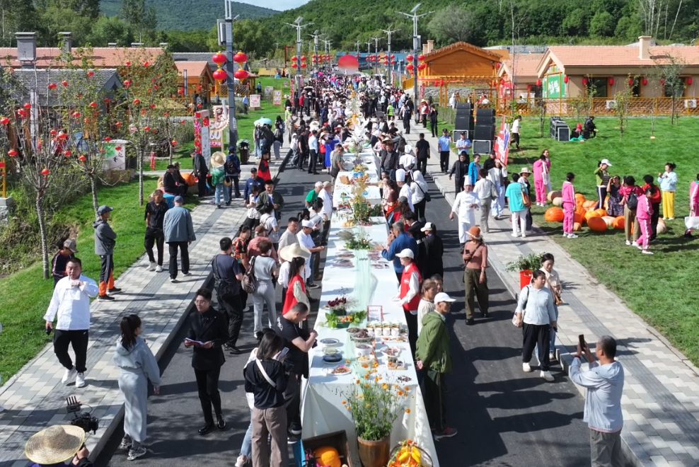 大地流彩——2025黑龍江省村廚村藝大薈在集賢舉行 農文旅融合激活鄉村新動能