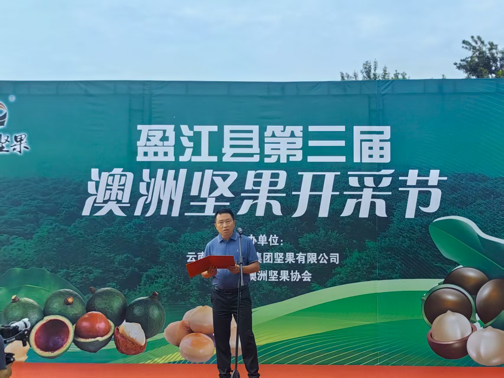 雲南盈江：第三屆澳洲堅果開採節啟幕！ 10億元產值「小堅果」成大產業