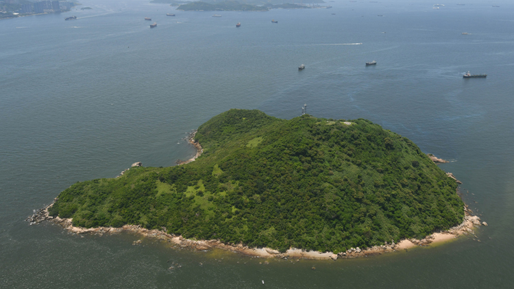 甯漢豪：交椅洲人工島填海工程未有條件於現屆政府任期內開展