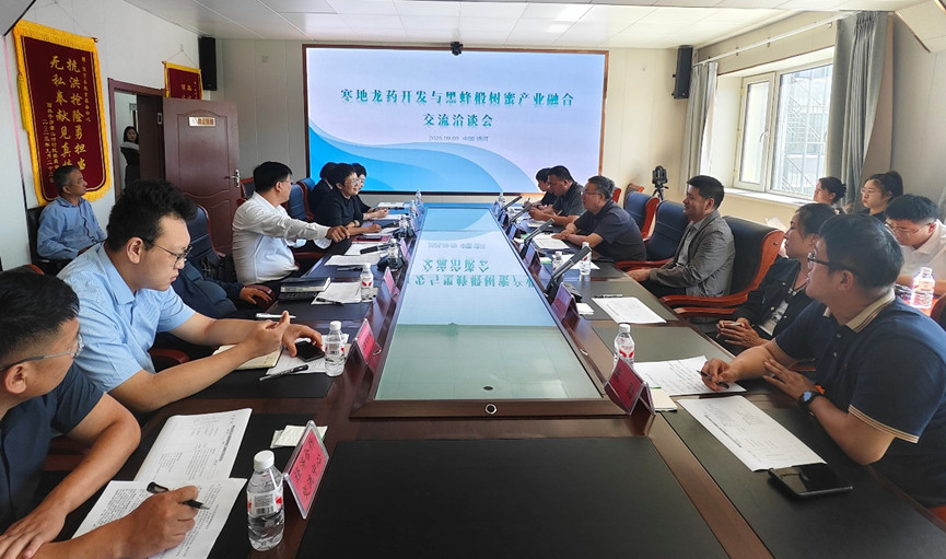 黑龍江饒河：推動寒地龍藥與黑蜂蜜產業融合 注入縣域經濟新動能
