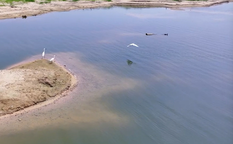 【視聽山東】碧波蕩漾賢士湖