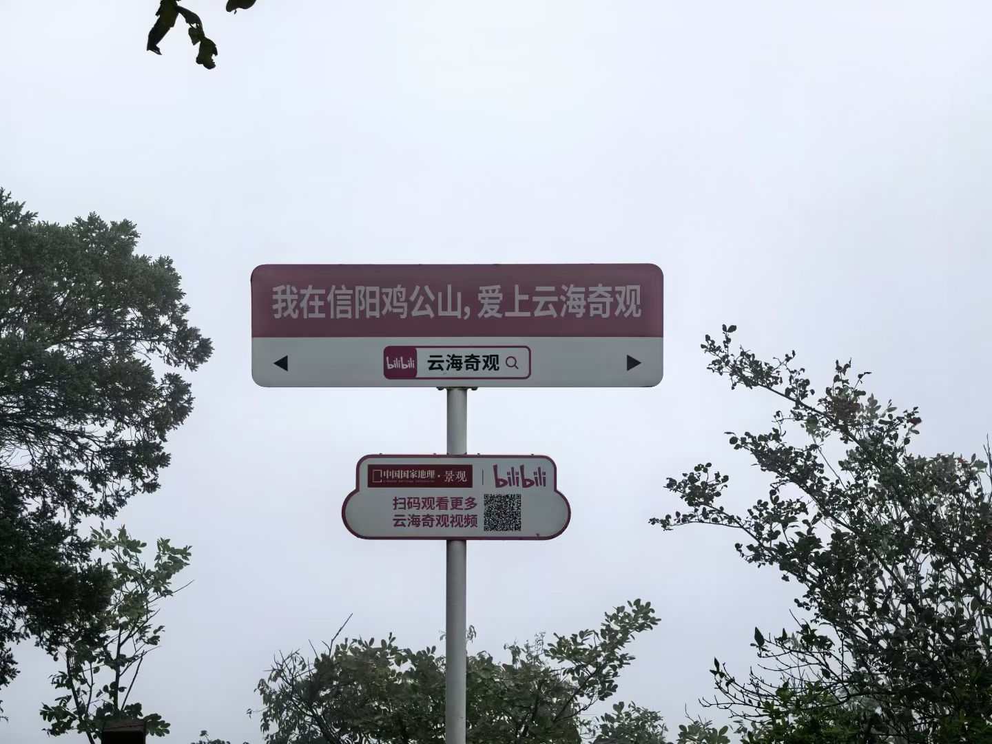 大別山精神永放光芒—尋訪信陽 聆聽大別山精神的時代迴響