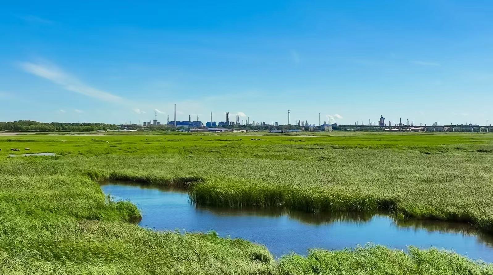 大慶石化：求「綠」而生 向「新」而行