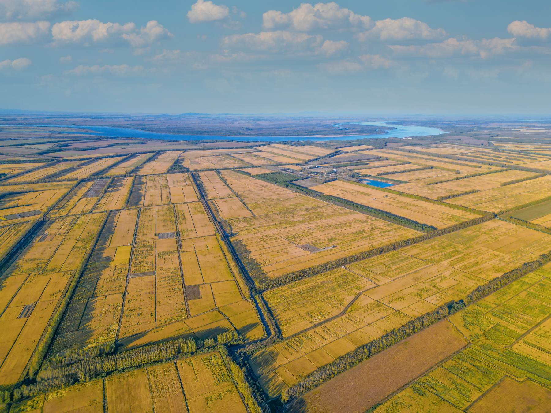 北大荒江濱分公司：執綠色之筆 走生態有機「稻」路