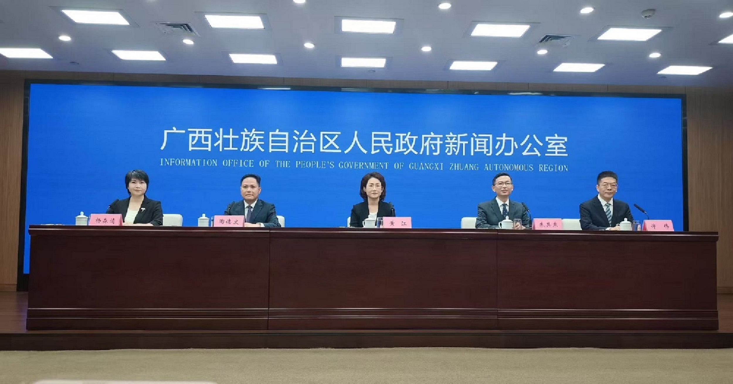 桂防城港市現代化臨港工業城市建設成效顯著