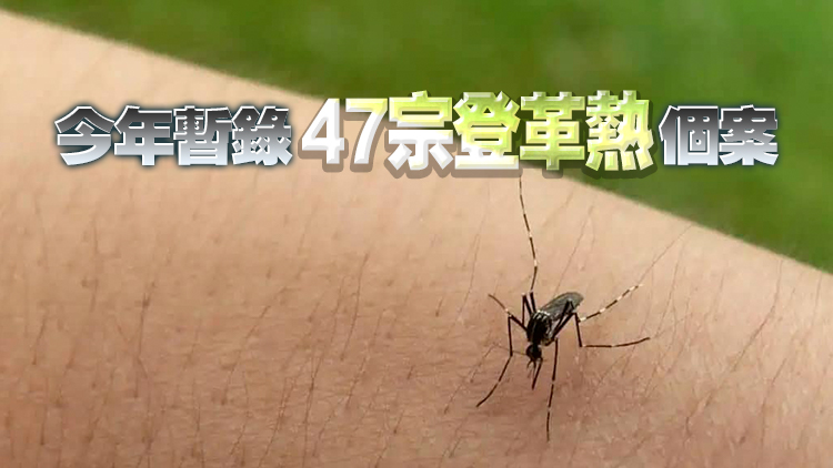 本港錄得3宗登革熱感染個案 病人潛伏期曾到印度