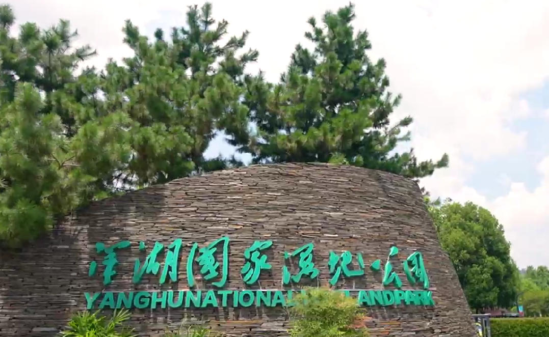 一湖享生活！《長沙一分鐘》邀您打卡洋湖