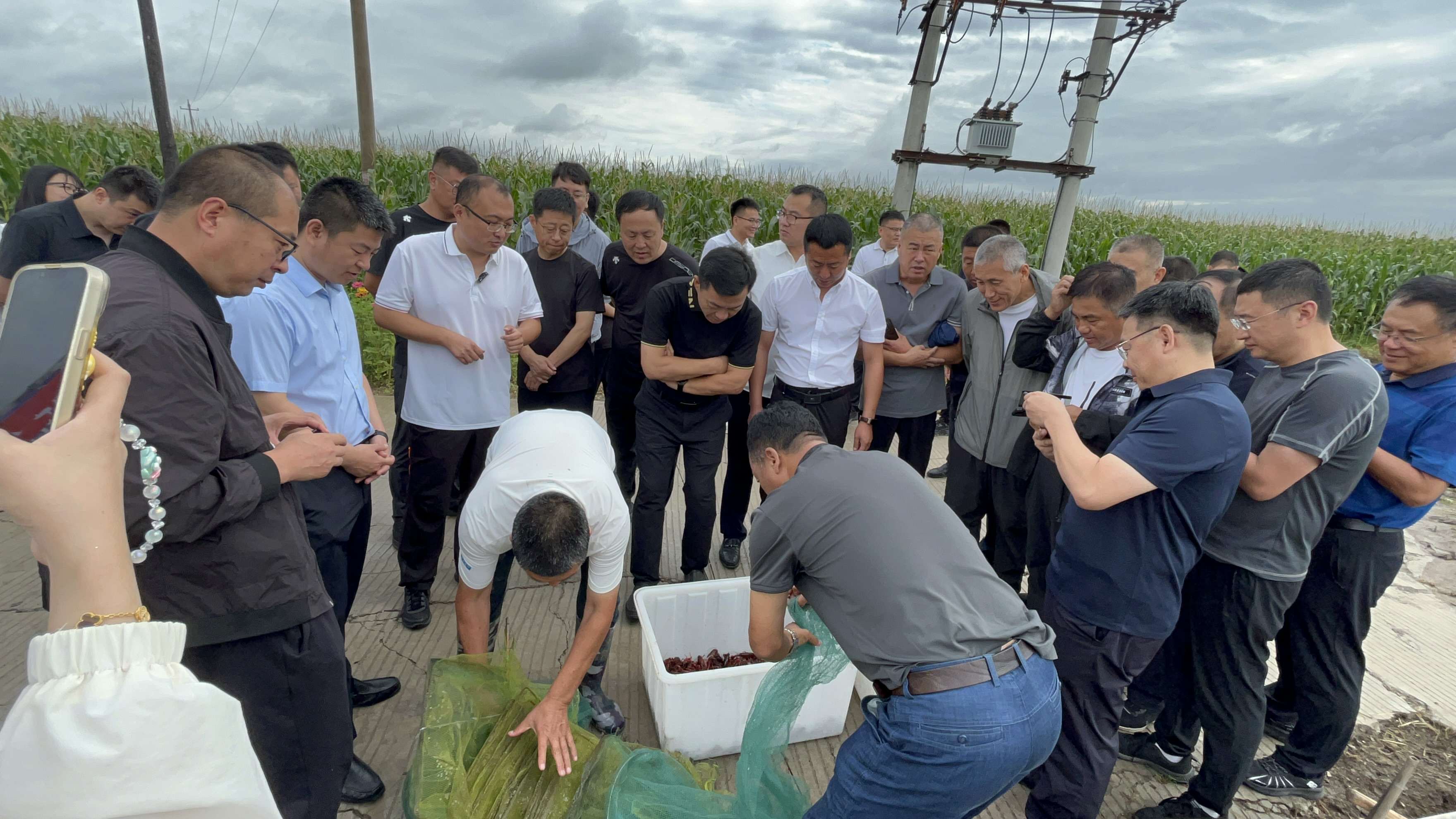 黑龍江大慶市林甸縣：駐村幹部成為鄉村振興一線「尖兵」