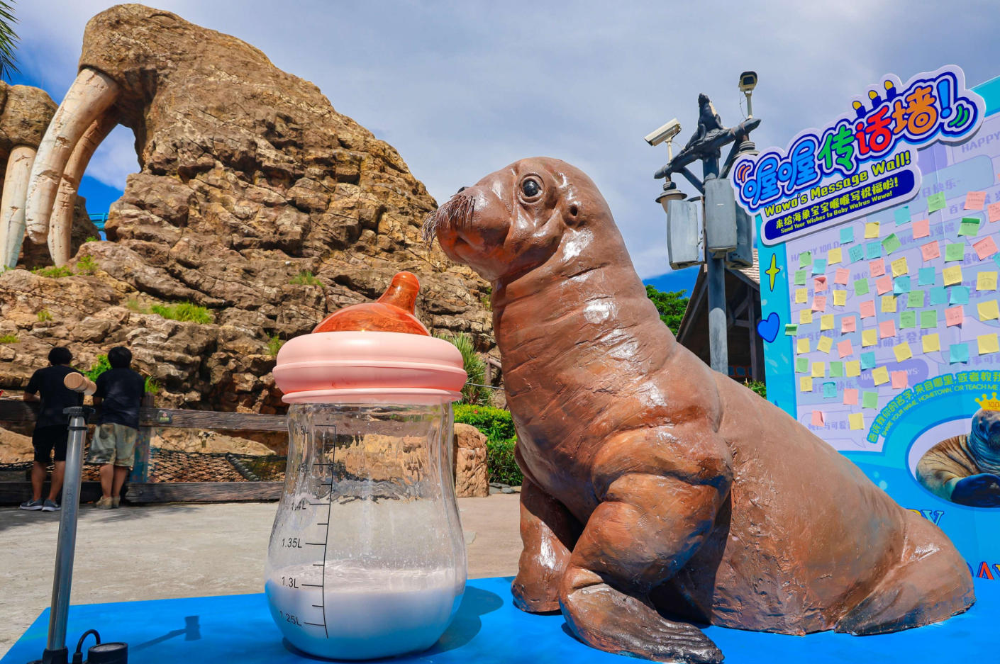 國內首次實現太平洋海象人工育幼