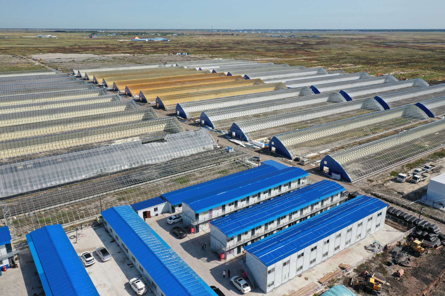 大慶林甸縣：畜禽污水變寶 構建綠色循環產業生態