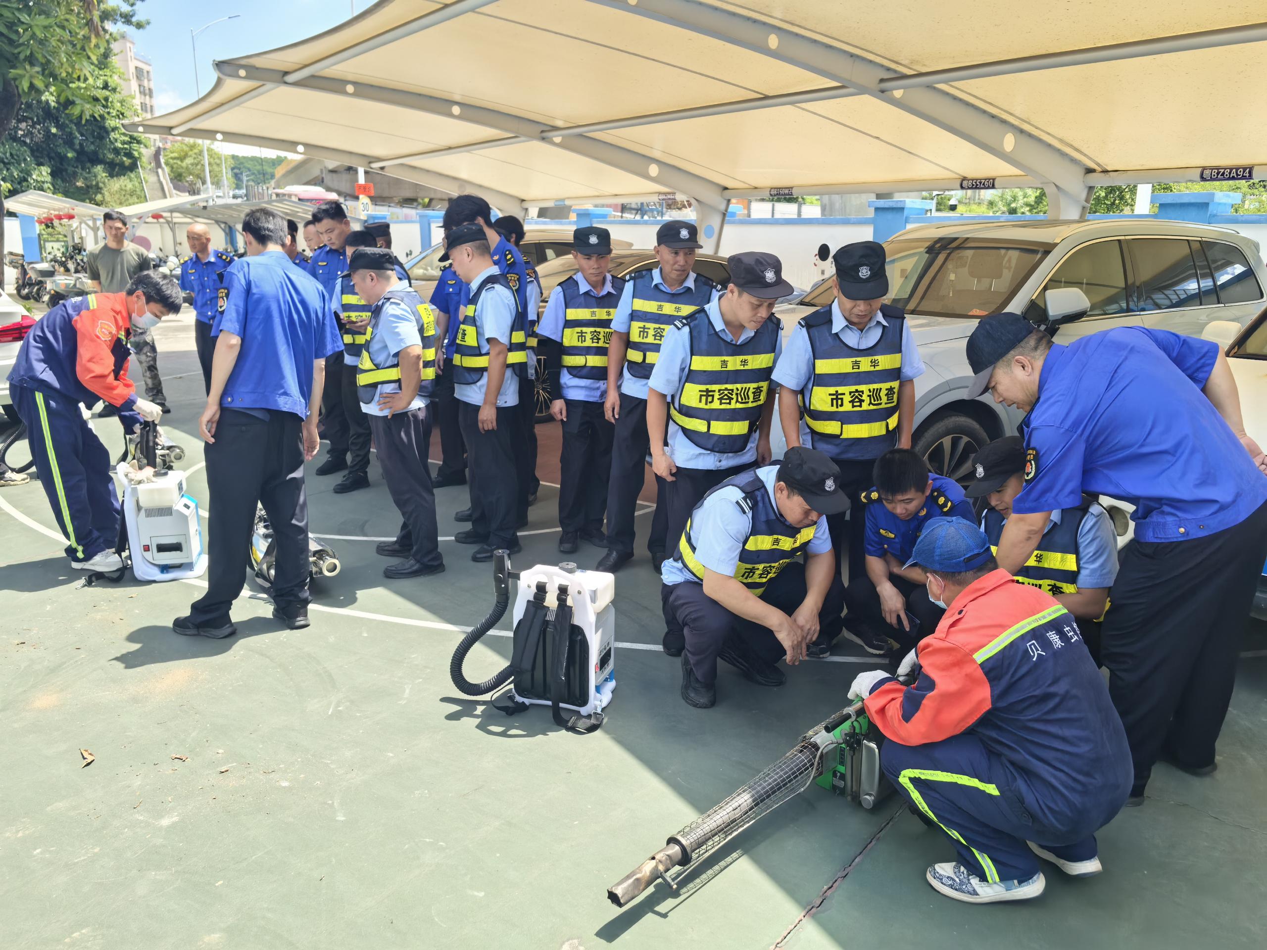 構築蚊蟲「禁區」！深圳吉華街道建起「基孔肯雅熱」防線