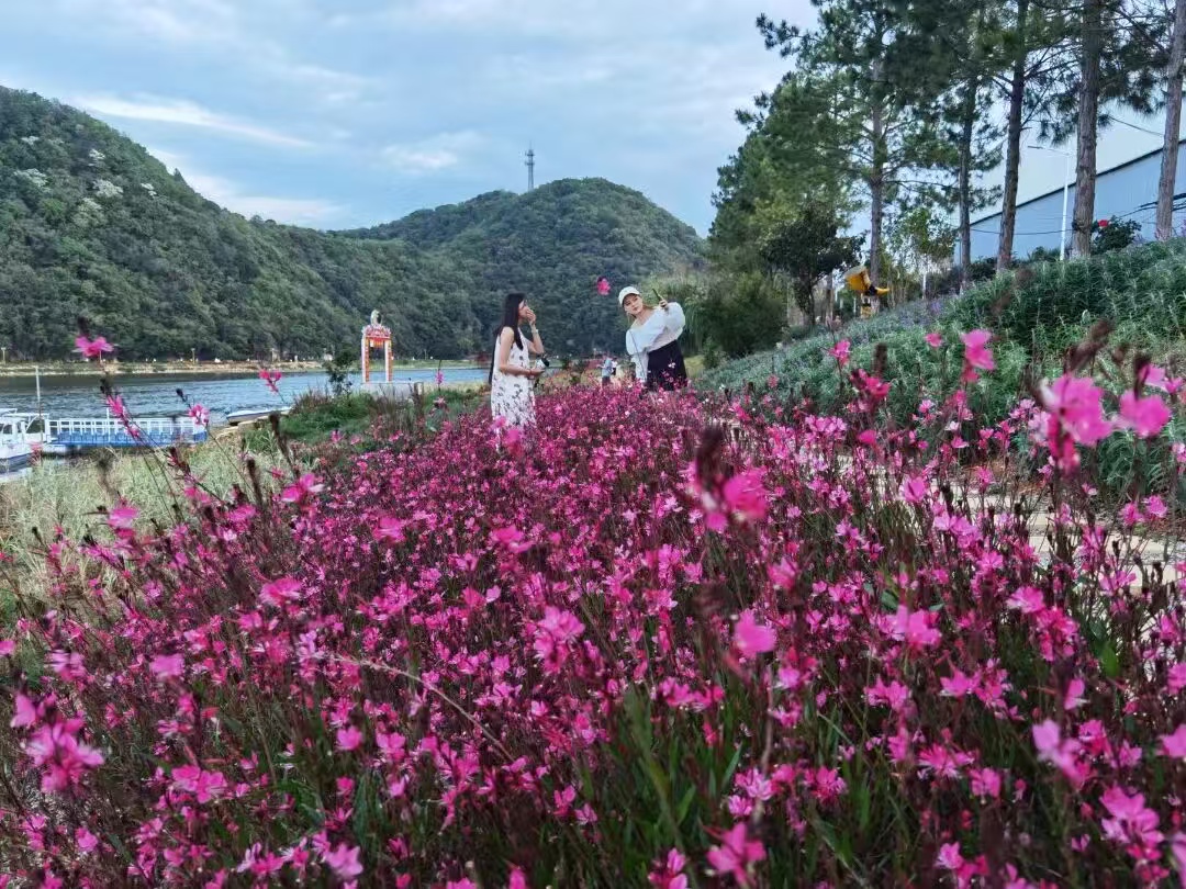 硯山火把節點燃熱情  暑期消費破十億元