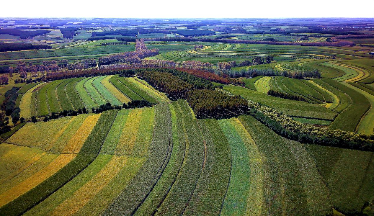 黑龍江·拜泉產業招商推介會（成都）將於9月20日召開