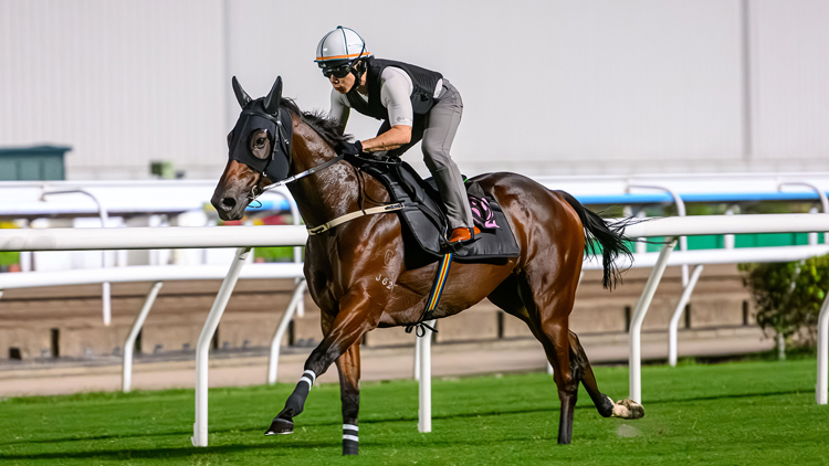 周日出發前往悉尼 希斯：嘉應高昇享受星級待遇