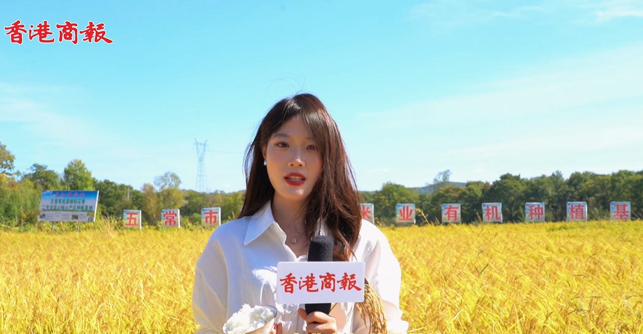 有片｜五常「稻禾源」米業：從田間到餐桌 一碗五常米品質好故事