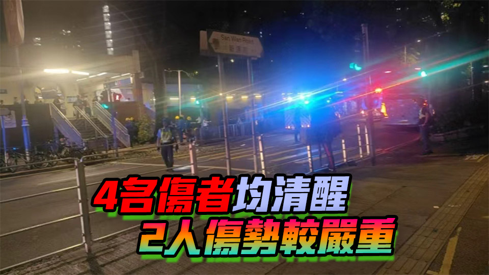 有片｜上水港鐵站外墮樹椏 4名男女遭擊中受傷