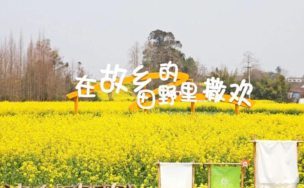 四川省慶豐收活動即將在德陽羅江開幕