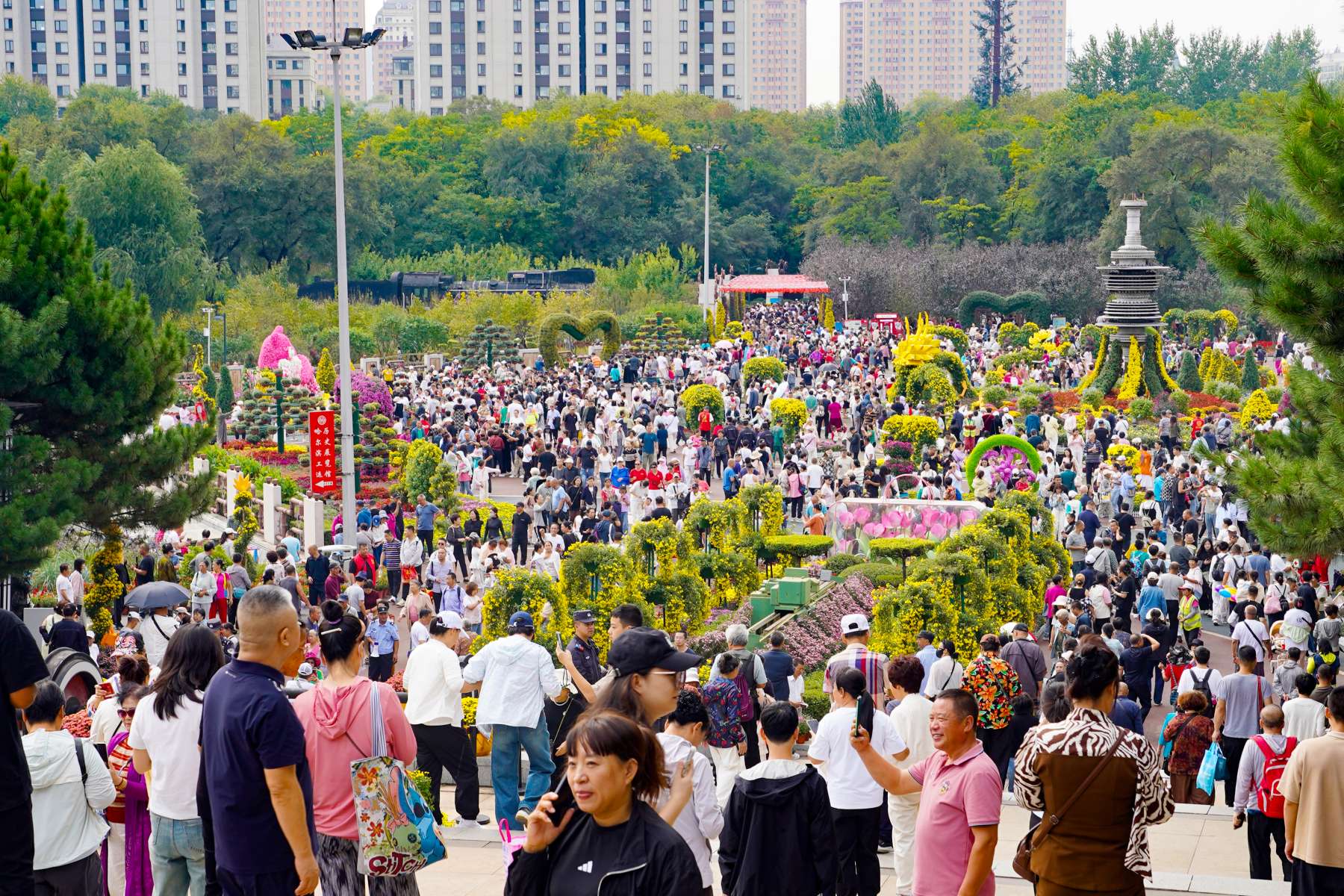 哈市香坊區第22屆菊花展帶火香坊多處主題公園