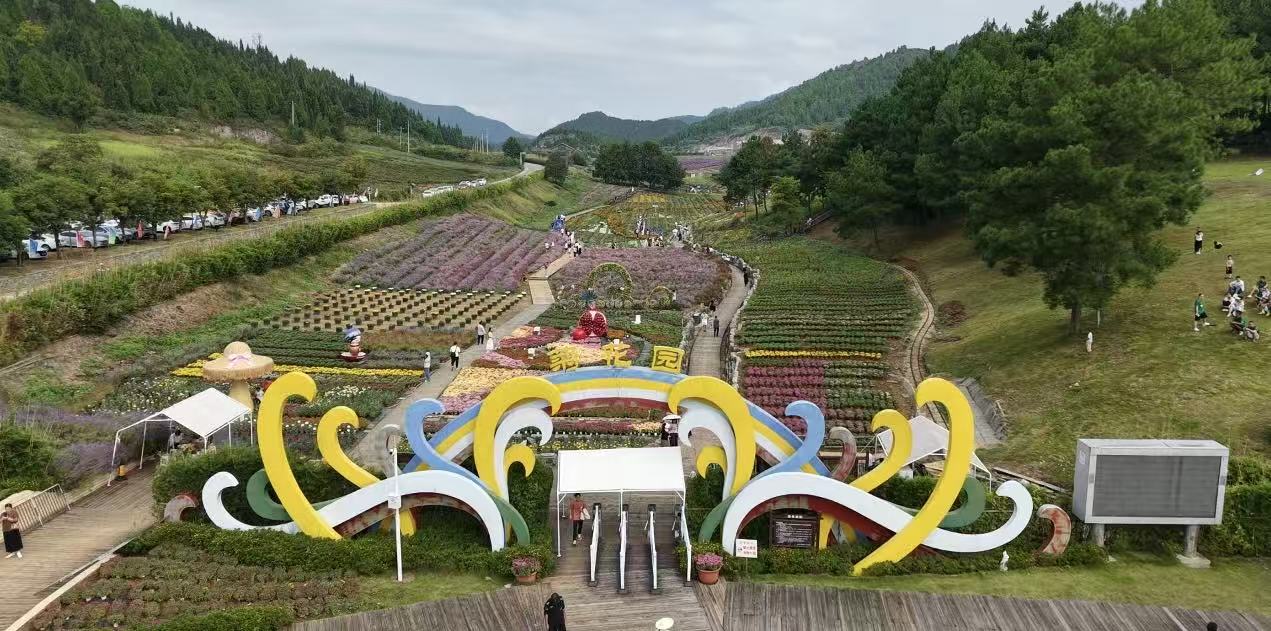 秋日限定  來貴州麻江邂逅花海盛宴