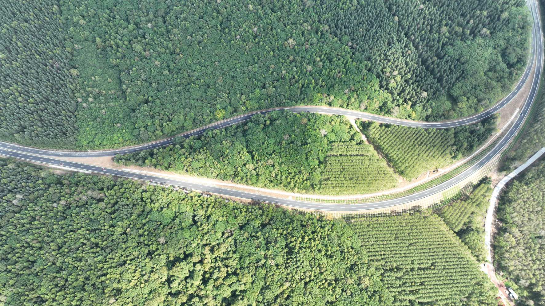 G331吉林段、沈白高鐵9月底即將開通  雙交通動脈激活東北沿邊經濟