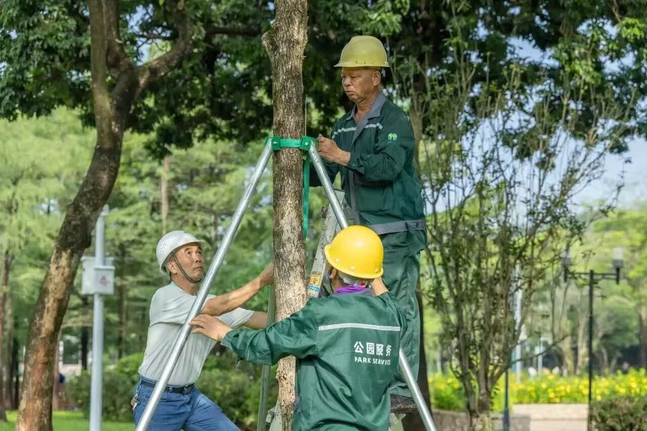 受颱風影響 深圳這一區公園、郊野徑、綠道即時關閉！