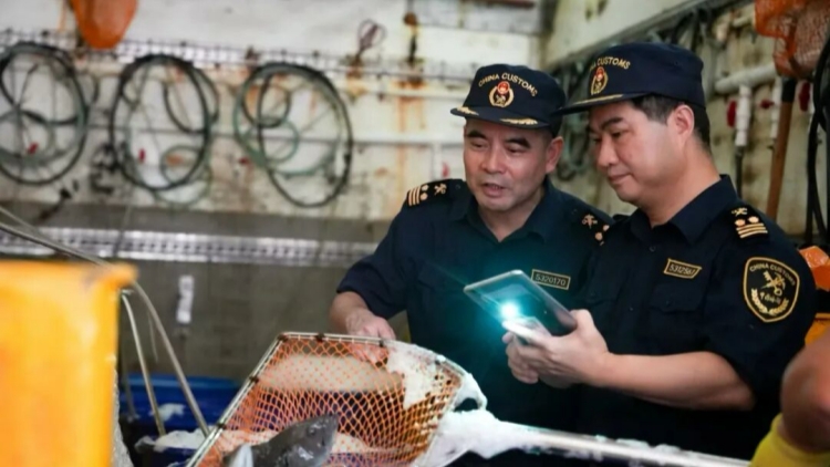 深圳海關迎戰颱風「樺加沙」 保障供港鮮活產品安全順暢通關