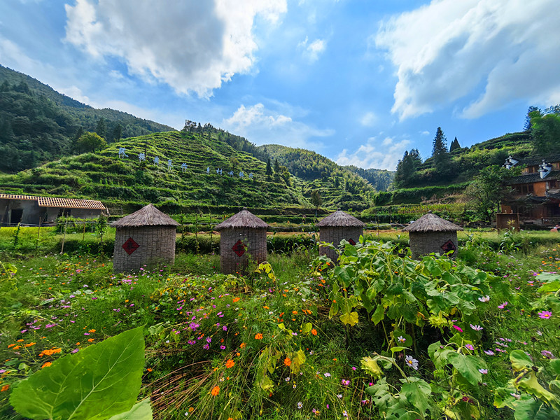 皖休寧溪口鎮：科技賦能 「夢裡祖源」神采飛揚