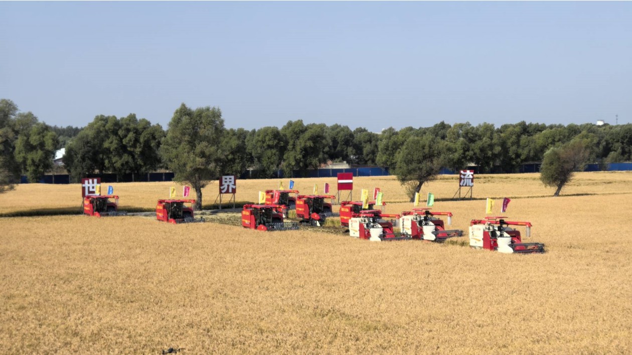 2025年中國農民豐收節 哈爾濱成色滿滿喜慶豐收