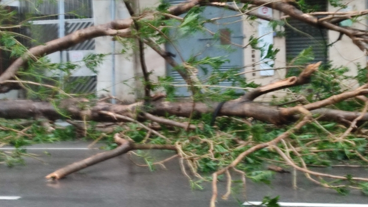 梁君彥：風雨無阻 使命必達 齊心完成立法工作