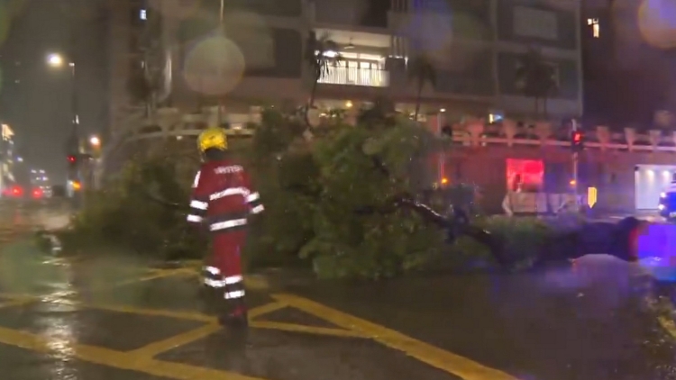 截至早上8時 本港19名市民在風暴期間受傷
