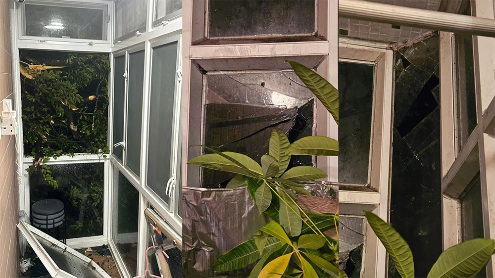 「樺加沙」肆虐全港 議員指多區出現塌樹及水浸