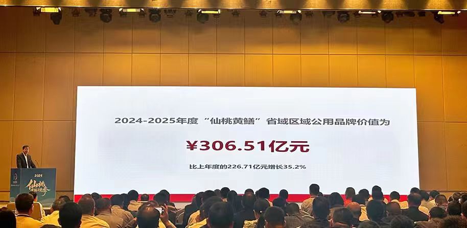 仙桃黃鱔品牌價值突破306億元 預計2029年總產值將達600億
