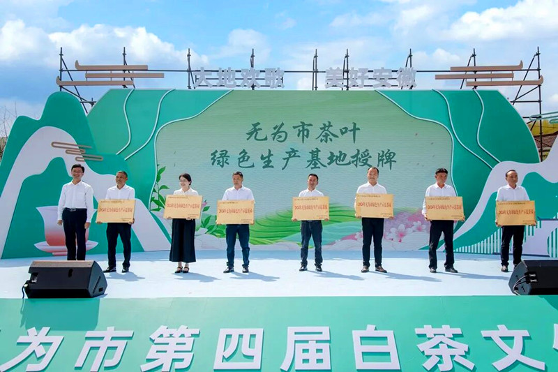 【皖美徽茶縣長說】無為市委常委、副市長徐韜：「三鎮擎旗百園爭翠」 無為白茶振興正當時