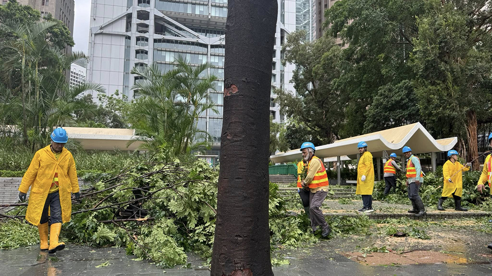 江玉歡：極端天氣香港「頂得住」