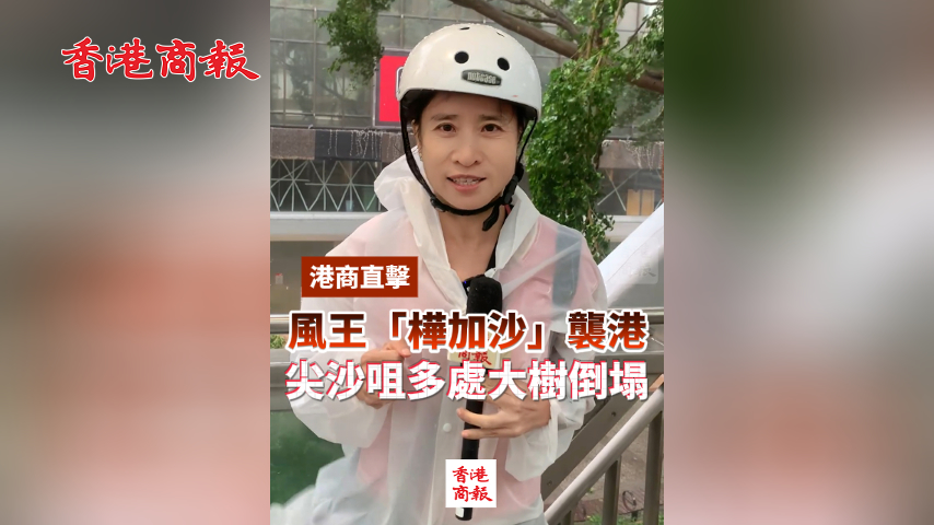 有片丨風王「樺加沙」襲港 尖沙咀多處大樹倒塌