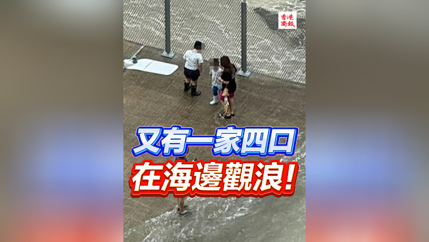 有片丨又有一家四口在海邊觀浪！