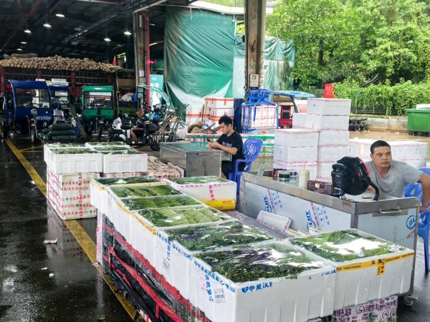 颱風過後復工保供，深農集團海吉星供應足價格穩