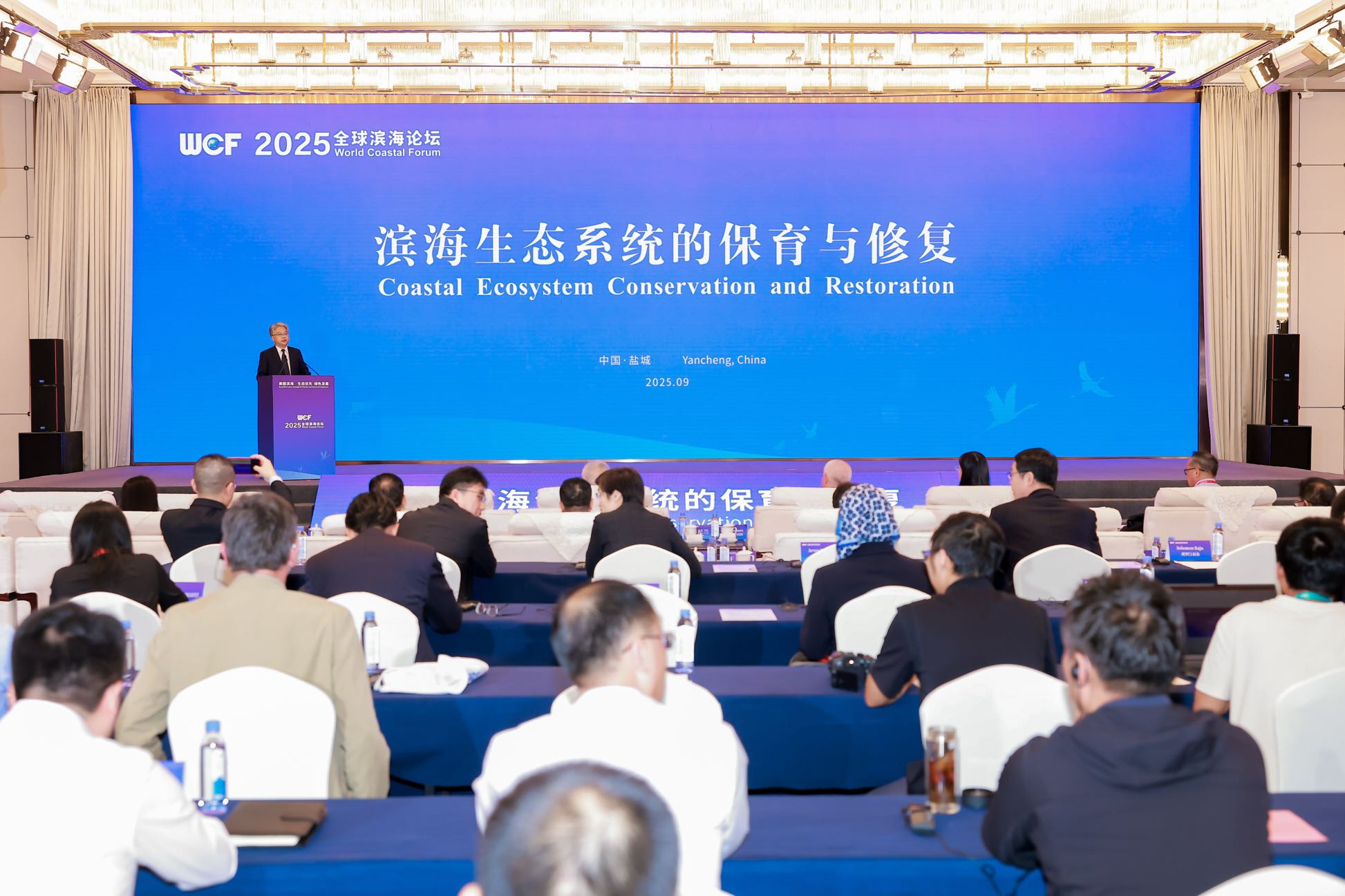 勺嘴鷸遷徙保護「串」起濱海生態治理新路徑