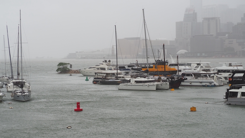 9·26起受樺加沙影響農戶、養魚戶及漁民可申請緊急救援基金