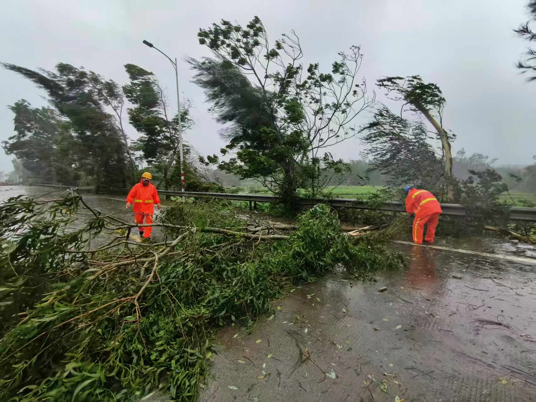 颶風中的「逆行者」！陽西交通晝夜清障600處 打通生命通道