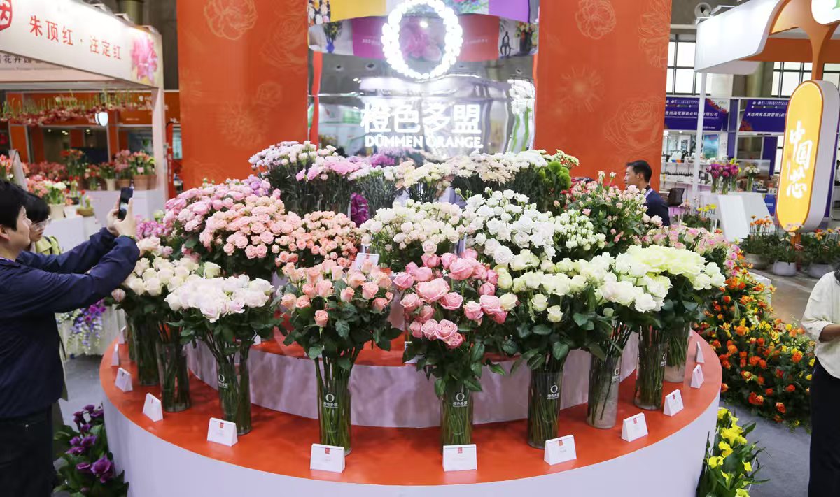 昆明國際花卉展聯展熱銷  匯聚86個國家的3.5萬名專業採購商採購