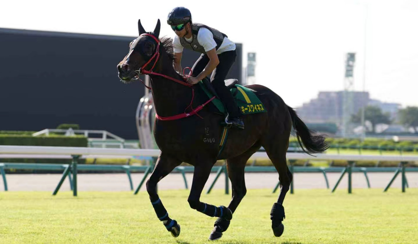 金鑽貴人周日衝擊日本短途馬錦標 梁家俊盼獲幸運之神眷顧取佳績