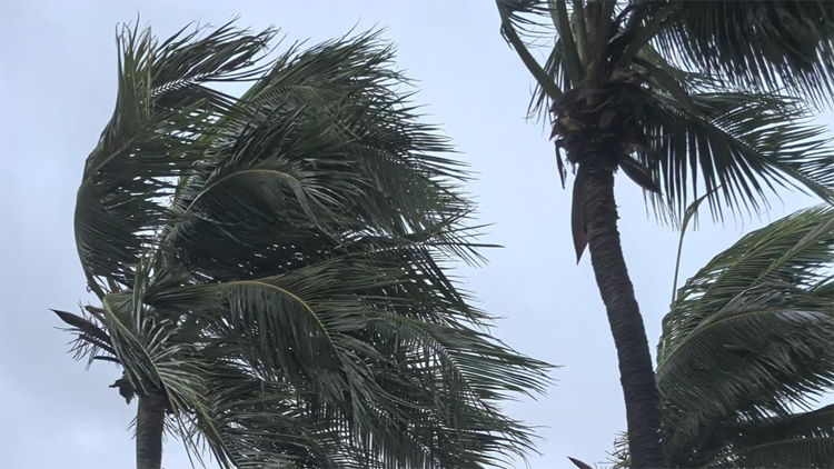 受颱風影響 三亞鳳凰國際機場9時起暫停航班起降